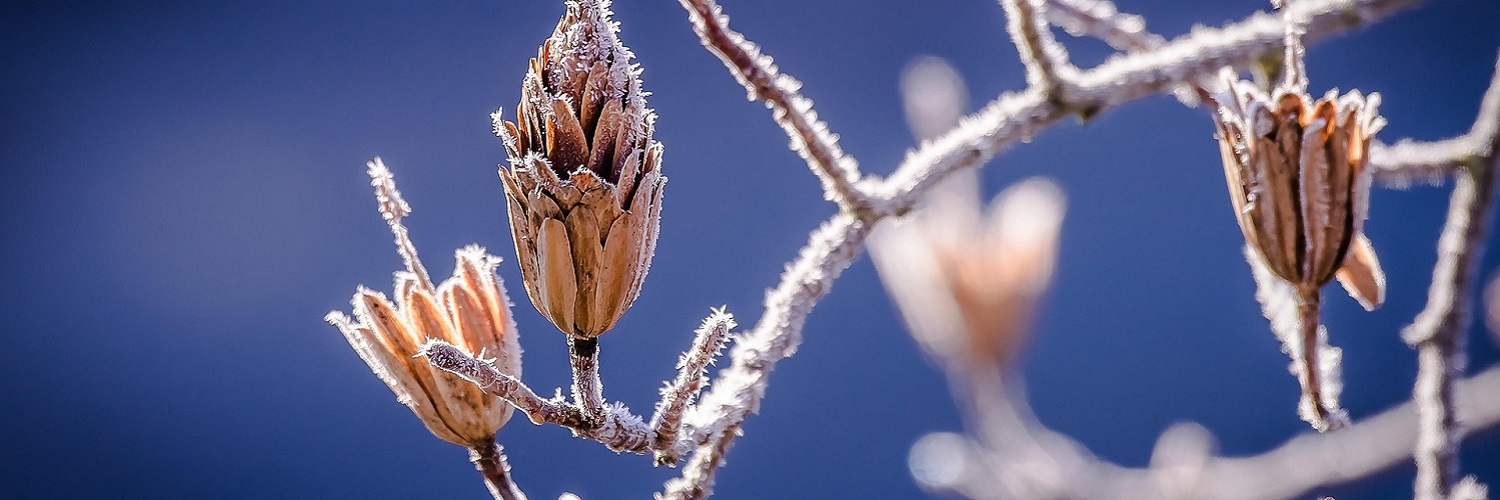 News und Inspiration für den Winter aus Deutschland